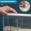 Transparent Rice Dispenser Wall Mounted Rice Storage Containers Kitchen Grain Organizer Sealed Kitchen Storage 6