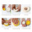 Dumpling Mold, 2pcs Dumpling Maker & Press Mold, Multifunctional Dumpling DIY Making Tool,Convenient Durable Rinseable A 4