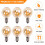 12Pcs 1.5W LED G40 Replacement Bulb 220V Retro Globe Gold Dimmable Bulb for Indoor/Outdoor String Lights E14 Base 9