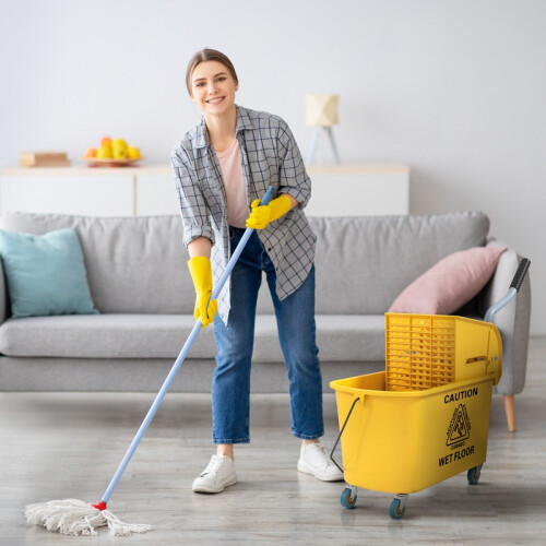 Cleaning Trolley 20L with Mop Press, Sweeping Set and Bucket 2