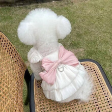 Pet Clothes for Cats and Small Dogs Spring Autumn