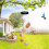 Weatherproof Transparent Window Bird Feeder Outdoor 2