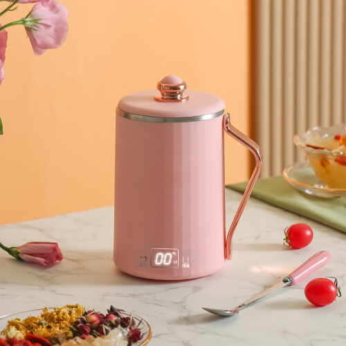 Stainless Steel Portable Temperature-Control Kettle and