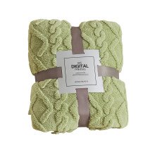 Plush Soft Polyester Blanket Matcha Green 100x150 cm