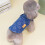 Vêtements pour chats et petits chiens - Printemps/Automne 4