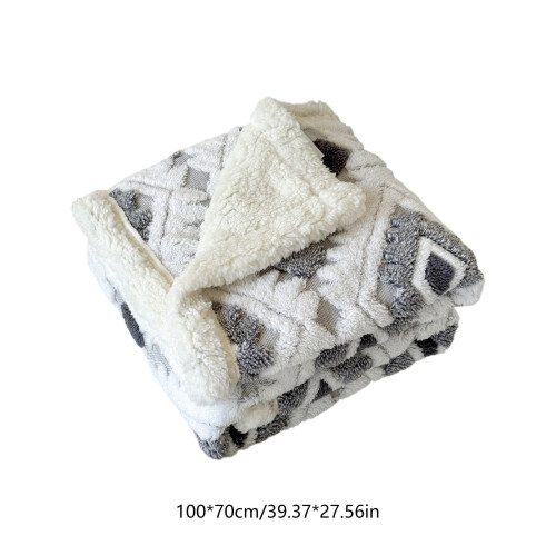 Warm Nap double-layer blanket lambswool taffeta silver 2