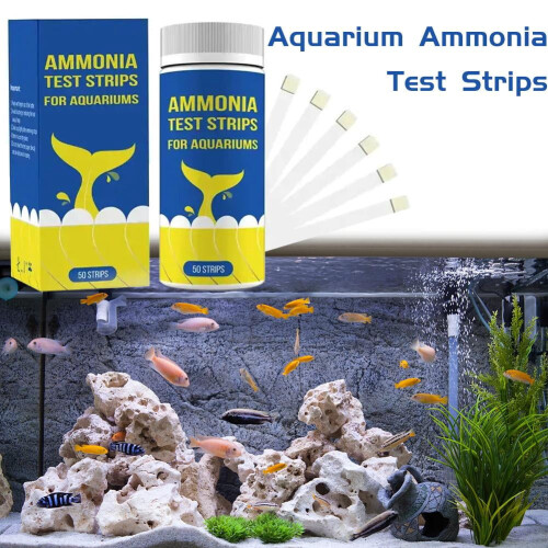 Bandelettes de test d'ammoniaque pour aquarium (50 unités) 1
