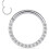Titanium neusring met micro-zirkonia steentjes 6