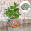 Mosaic Tiles Green Stone Irregular Shapes 200 g 8
