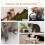 4PCS Cat Climbing Wall Set with Scratching Post and Hammock, Grey Cream 8