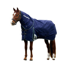 (6' 3", Navy/Forest Green) Weatherbeeta Comfitec Plus Dynamic Detachable Neck 220g Horse Turnout Rug