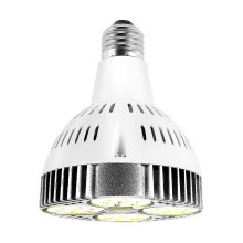 Λάμπα LED E27 35W πλήρους φάσματος, θερμού λευκού, για εσωτερική χρήση σε κήπους