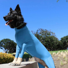 (Blue, 2XL) Combinaison pour chien de sport, anti-mue, apaisante, protection UV, convalescence post-opératoire, maison voiture voyage