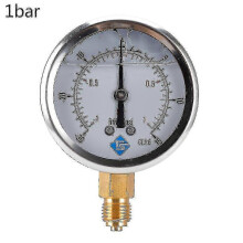 (1bar) Glycerin-Filled Pressure Gauge, 1/4" BSP Bottom Mount, -1/+10 bar Range