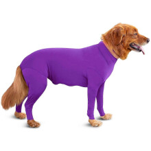 (Purple, M) Combinaison pour chien de sport, anti-mue, apaisante, protection UV, convalescence post-opératoire, maison voiture voyage