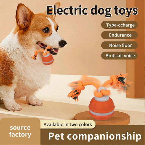 (Orange) Interactive Dog Ball with Auto-Sensing Motion, Rechargeable Type-C, Blue