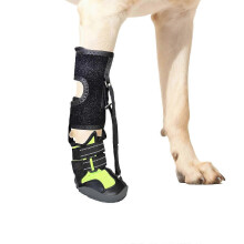(black green, M) Attelle orthopédique pour chien souffrant de pattes traînantes, attelle corrective ajustable pour l'arthrite et la hernie discale.