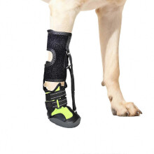 (black green, M) Bottes correctrices pour chiens avec enrouleur réglable pour pattes tombantes et soutien des articulations