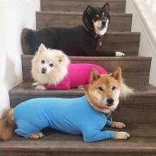 (Red, L) Combinaison pour chien de sport, anti-mue, apaisante, protection UV, convalescence post-opératoire, maison voiture voyage