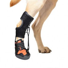 (black oranges, L) Bottes correctrices pour chien avec enrouleur pour pied tombant, chaussures de soutien attelle réglables