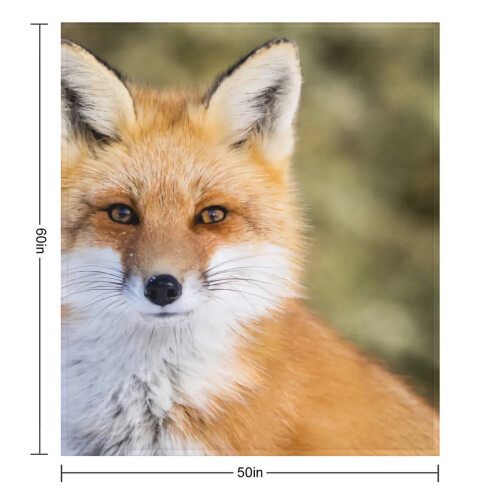Κουβέρτα με τυπωμένο σχέδιο Ginger Fox 5060in 2