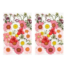 72 PCS Real Dried Pressed Flowers Leaves Petals for DIY Candle Resin Jewelry Nail Pendant Crafts Making Art Decor-
