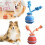 (Orange) Interactive Dog Ball with Auto-Sensing Motion, Rechargeable Type-C, Blue 3