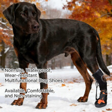 (black oranges, L) Corrective Dog Shoes for Dragging Paws, Drop Foot Brace with Adjustable Knob for Dogs