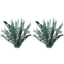 32Pcs-Preserved-Dried-Eucalyptus-Branches, 17in Fresh Eucalyptus Plant for Shower, Real Eucalyptus Bunch for Vase Filler