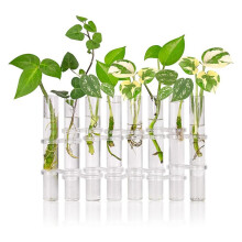 16Pcs Hinged Flower Vase Clear Glass Test Tube Hanging Flower Holder for Home Decor, S