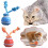 (Orange) Interactive Dog Ball with Auto-Sensing Motion, Rechargeable Type-C, Blue 5