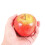 Decorative Artificial  Plastic Fruits Imitation Home Decor 18Pcs Red 8