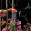 20L Collapsible Camping Shower Pump with Rechargeable Head for Hiking Backpacking 4