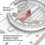 2025 Expedition 4 Rotatable Compass 1:25k 1:40k 1:50k Pro Hiking Compass 4