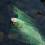Green Nylon Fish Landing Net Catch Release 1Pcs 4