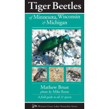 Tiger Beetles of Minnesota Wisconsin Michigan by Mathew Brust Paperbac