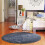 Round Carpet Soft Plush Pile Non-Slip Backing 1 Pack 8