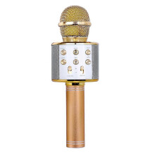 Micreafón Gan Sreang Bluetooth Karaoke Cainteoir KTV Singing Micreafón Boise