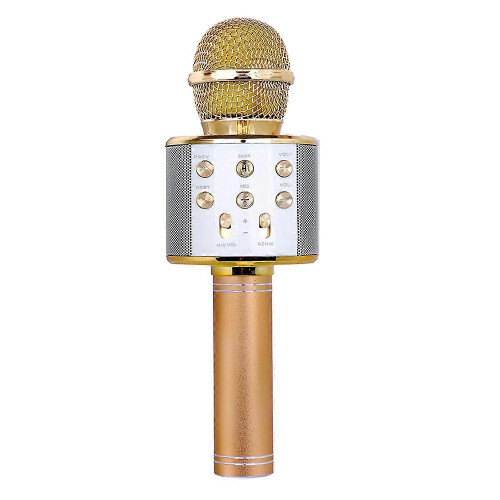 Bluetooth Wireless Microphone Karaoke Speaker KTV Singing Handheld Microphone