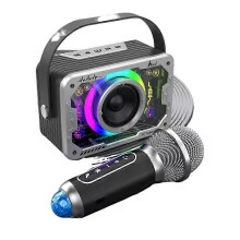 Draagbare V9 Bluetooth-karaokeluidspreker met 1 draadloze microfoons met LED-verlichting voor volwassenen en kinderen