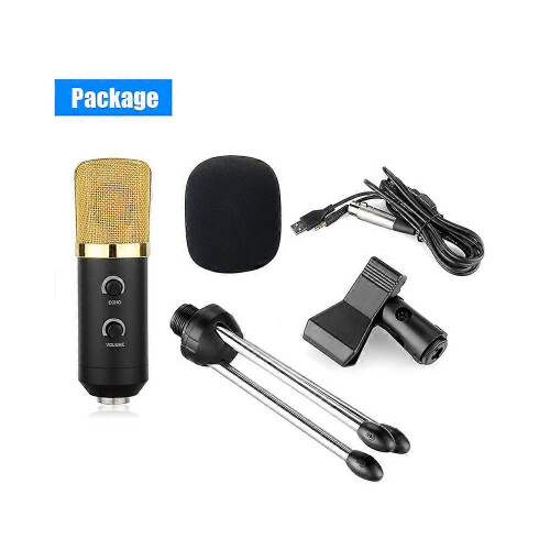 Επαγγελματικό μικρόφωνο στούντιο USB Condenser Μικρόφωνο εγγραφής ήχου 1
