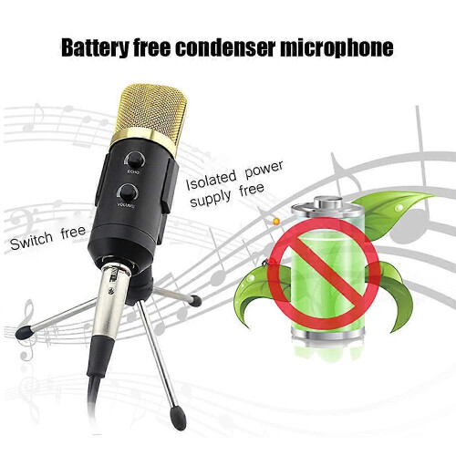 Επαγγελματικό μικρόφωνο στούντιο USB Condenser Μικρόφωνο εγγραφής ήχου 2