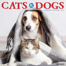Cats Dogs 2026 12 X 12 Wall Calendar by Willow Creek Press Other Book