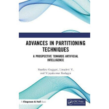 Advances in Partitioning Techniques A Prospective towards Artificial I