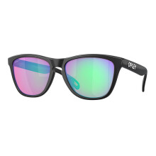 Oakley OO9245 FROGSKINS Asian Fit 9245E4 Men New Sunglasses