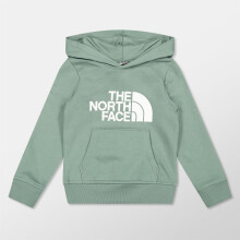 (XS, Duck Green) The North Face Boys Drew Peak Cotton Fleece Lined Relaxed Fit Hoodie