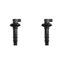 2X Ignition Coil 420664020 296000307 for RXP GTX RXT GTR 130 155 185 215 255 260