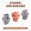 6pcs for  Land  Prado LC120 2003-2009 Bulb Base Tail Light Socket Brake Light Socket Reversing Light Socket 9