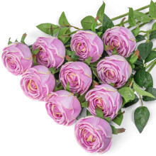Roses artificielles Melaleuca Ă longue tige en soie (lot de 1)