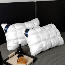 Oreillers Queen Size en coton à soufflet, 74 x 48 cm, mousse à mémoire de forme blanche